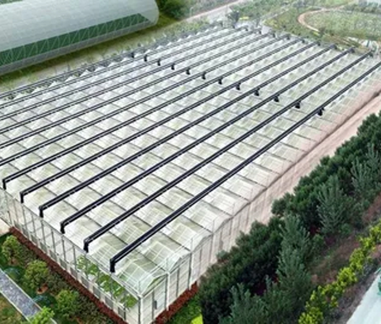 Ingegneria della struttura in acciaio del progetto di agricoltura digitale Alibaba di Shanghai